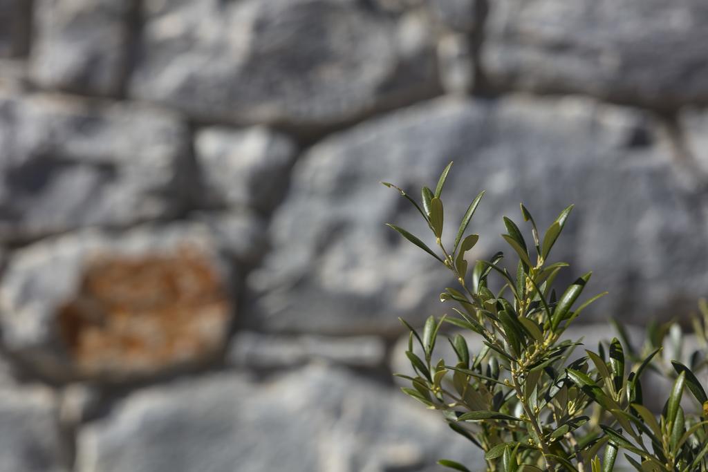 Asanti Villas Neochori  Cameră foto
